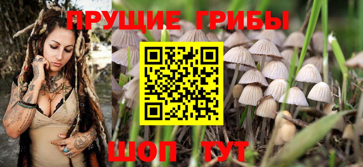 Галлюциногенные грибы Magic Shrooms Мыски